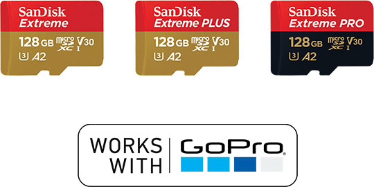 SanDisk Extreme microSDHC 128GB Works with GoPro