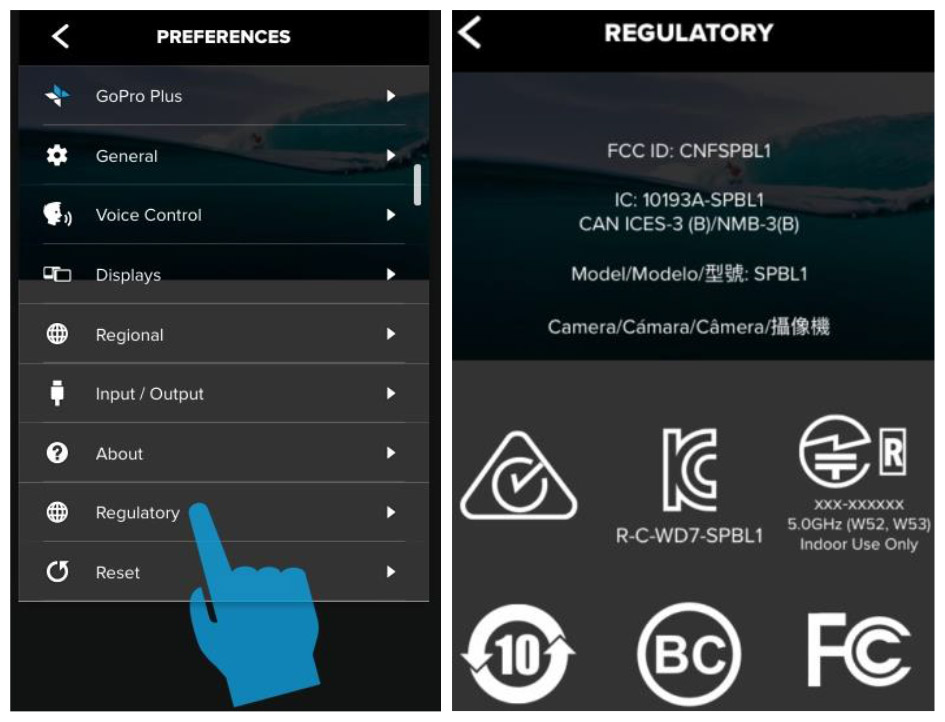 Label FCC ID CNFSPBL1