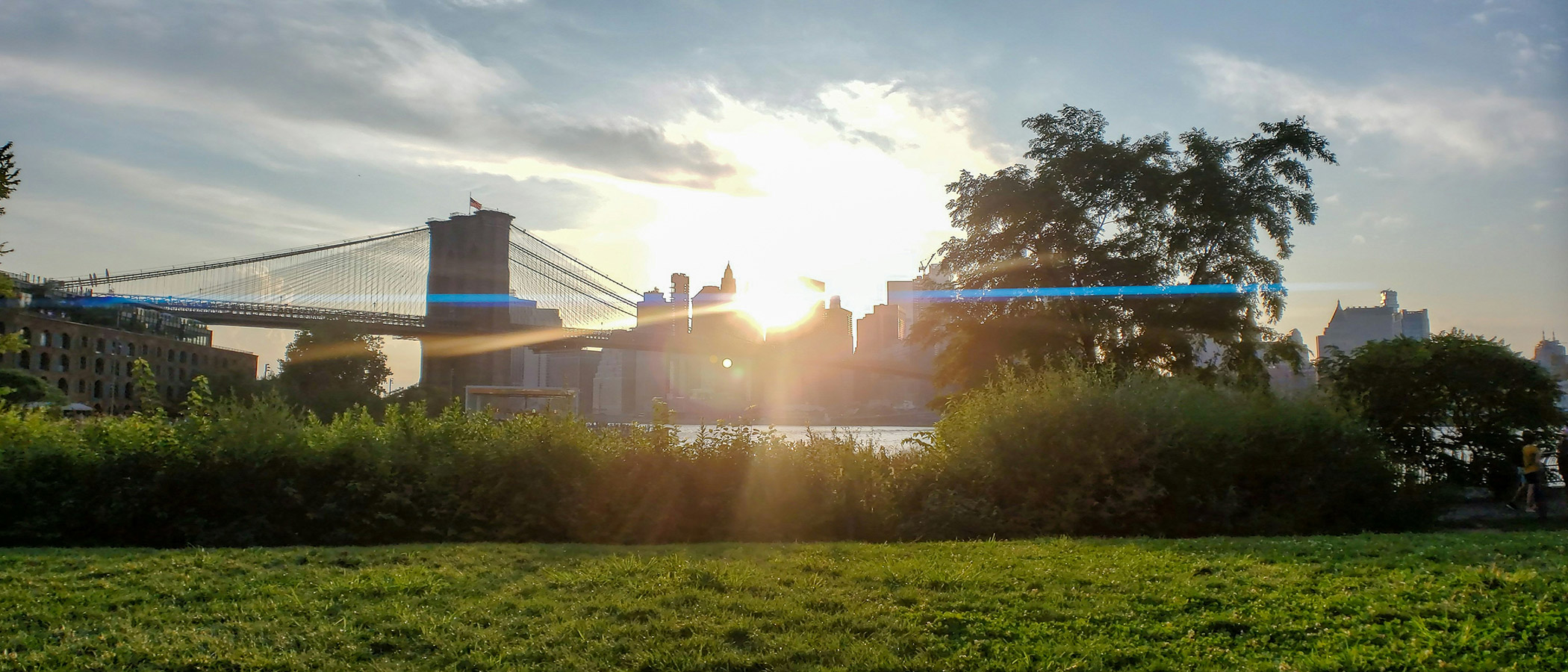 Leighton Robinson | unsplash