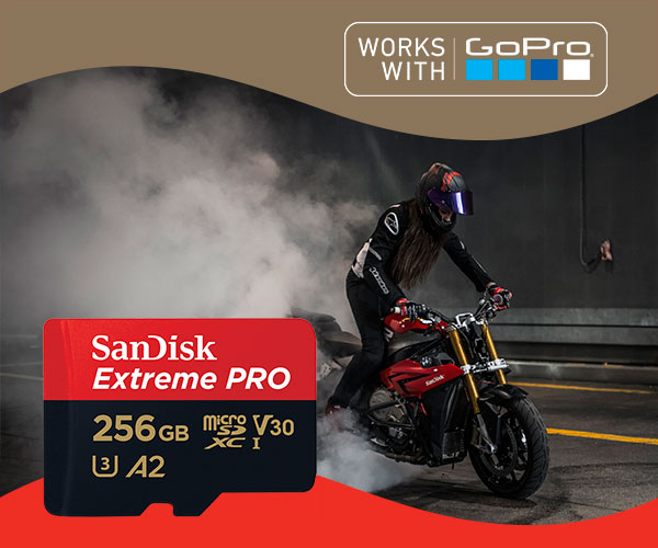 SanDisk Extreme Pro 256GB - Works with GoPro