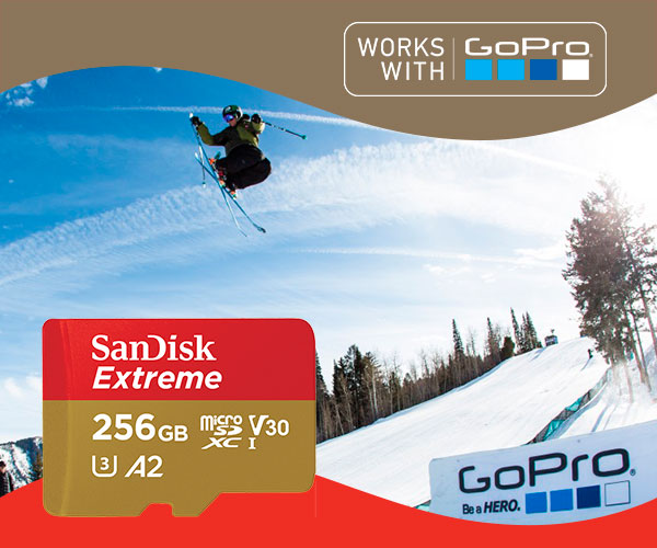 SanDisk Extreme 256GB - Works with GoPro