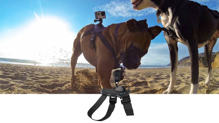 GoPro Fetch