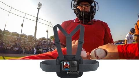 Batboy Cam
